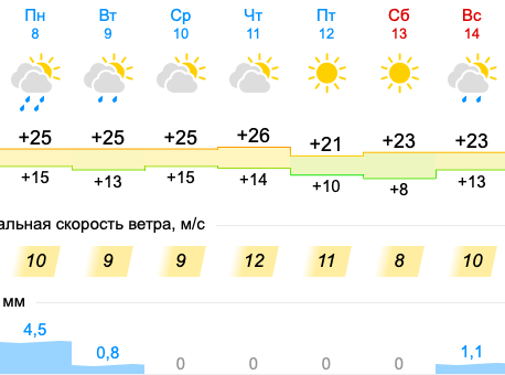 Фото Дожди с ветром и похолодание до +8 придут в Новосибирск с 8 августа 2